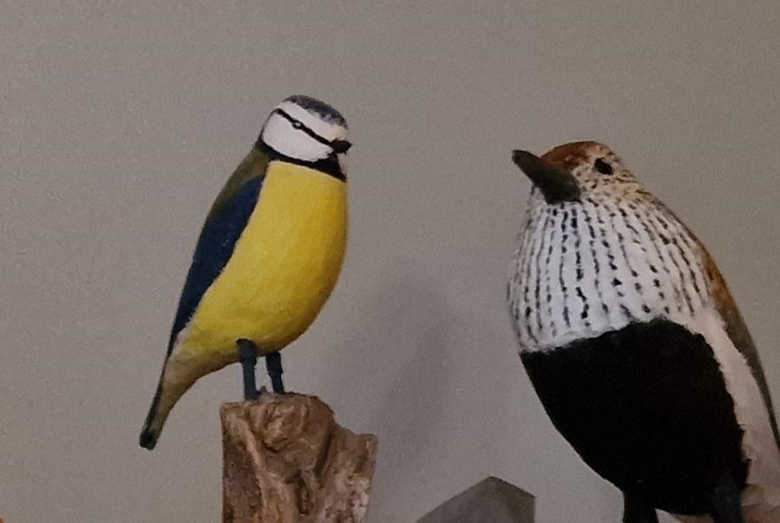 Bird 9