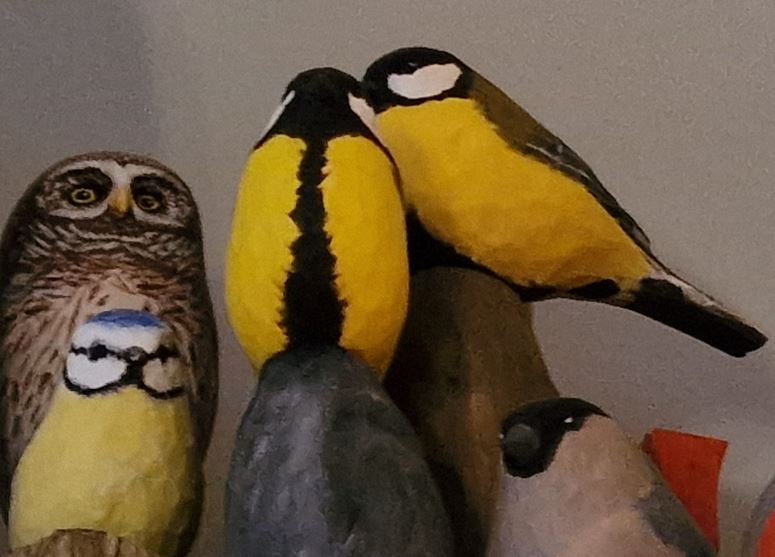 Bird 14