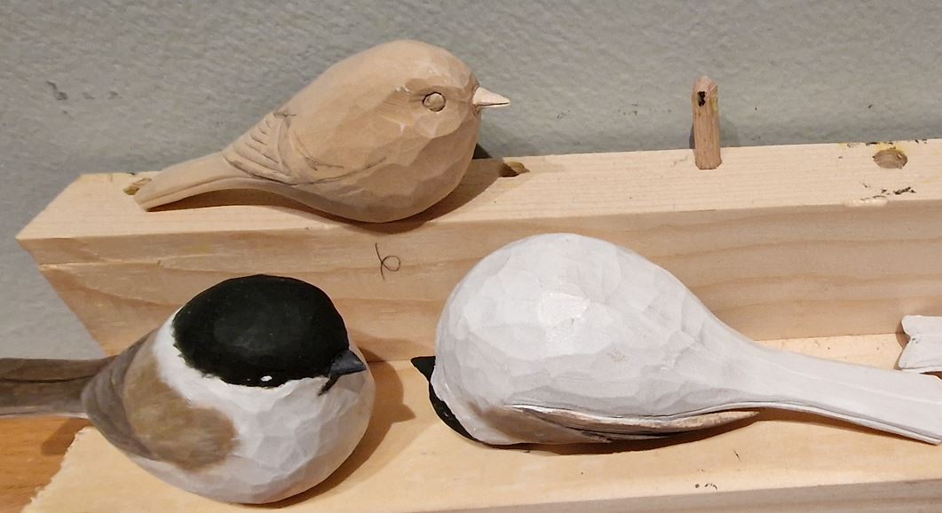 Bird 7