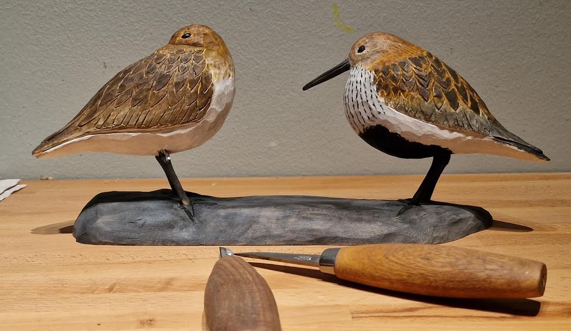 Bird 11